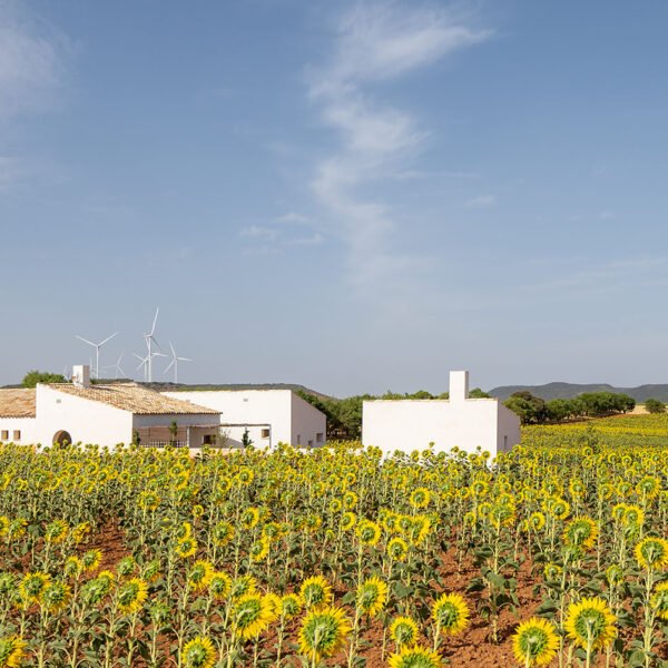 Canobardin – Rosa Cano Cortés - Casa de campo en Zafra de Záncara (Imagen Subliminal)