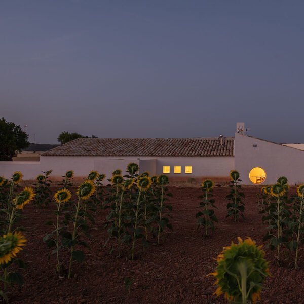 Canobardin – Rosa Cano Cortés - Casa de campo en Zafra de Záncara (Imagen Subliminal)