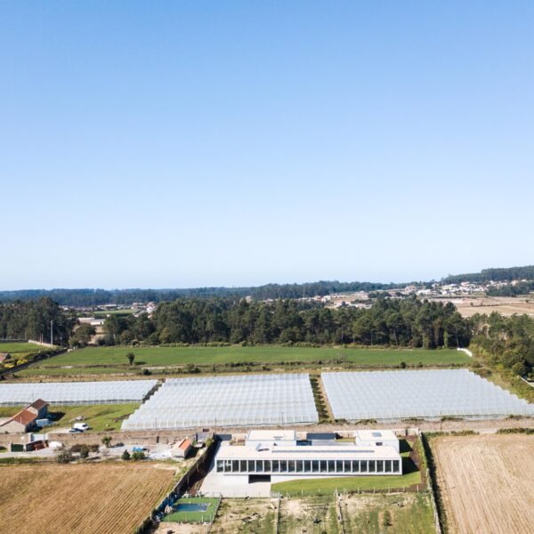 Hotel Canino y Felino - Raulino Silva Arquitecto Imagen: João Morgado