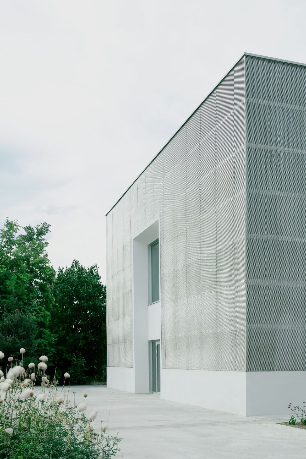 Colucci & Partners - Instituto Superior del Complejo Educativo San Giusto (Carlotta di Sandro)