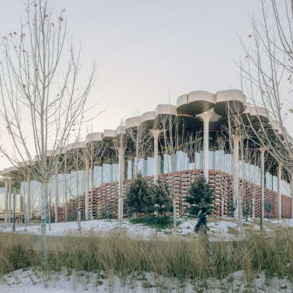 Snøhetta - Biblioteca Beijing Sub-Center (Yumeng Zhu)