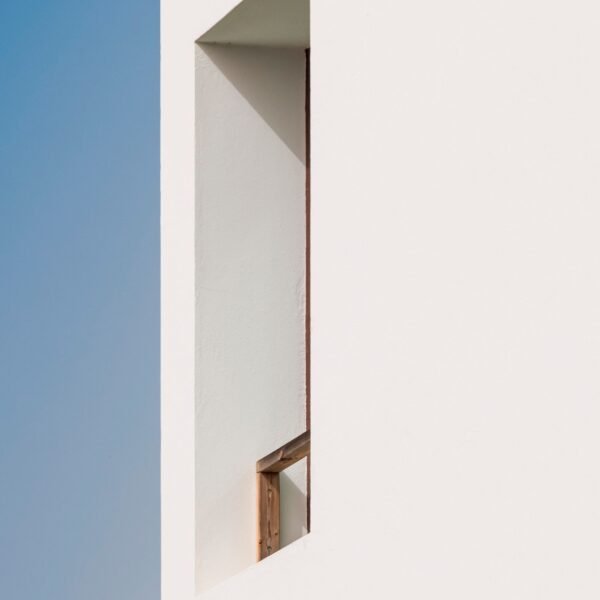 Pereira Miguel Arquitectos + Nuno Martins Correia - Casa Árbol (Fernando Guerra)
