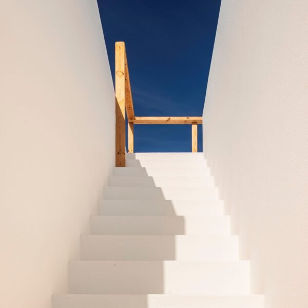 Pereira Miguel Arquitectos + Nuno Martins Correia - Casa Árbol (Fernando Guerra)