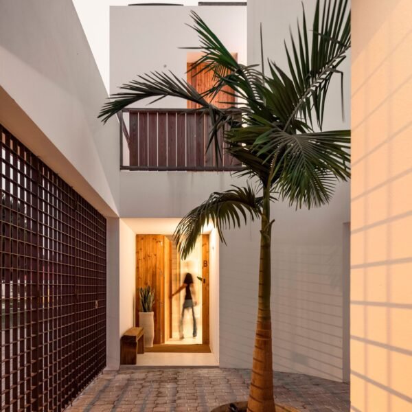 Pereira Miguel Arquitectos + Nuno Martins Correia - Casa Árbol (Fernando Guerra)