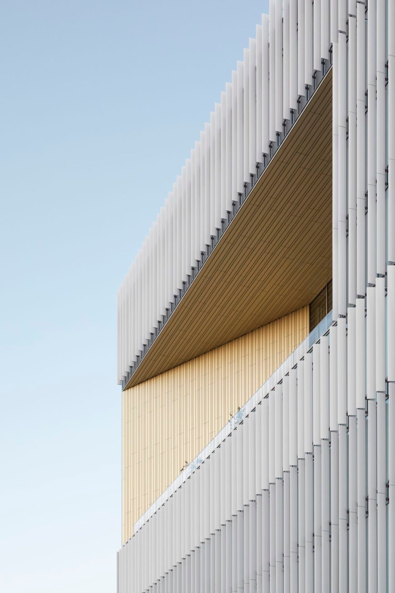 Oficina DBC Montana - BAx Studio (Ana Skobe)