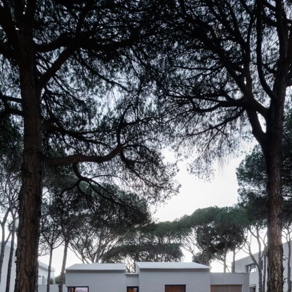 Lisabesur Arquitectos - Casa Pinola (Jesús Granada)