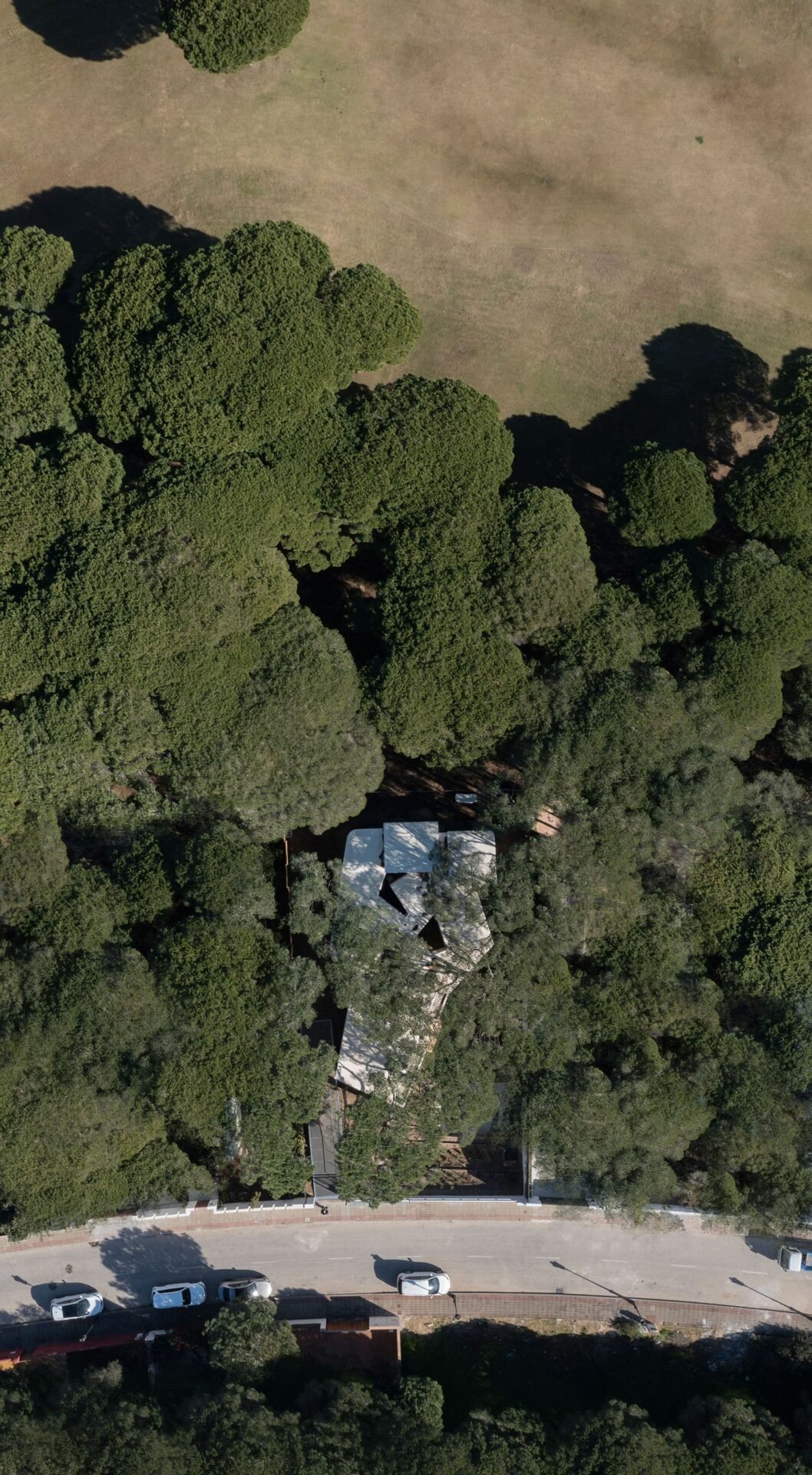 Lisabesur Arquitectos - Casa Pinola (Jesús Granada)