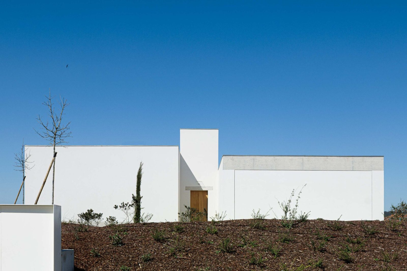 Casa Pedrantil - Helder da Rocha (Ivo Tavares)