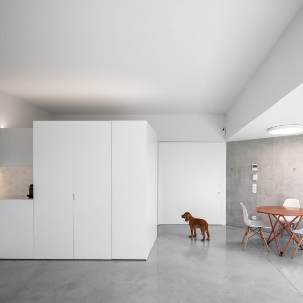 NOARQ - Casa PPA (João Morgado)