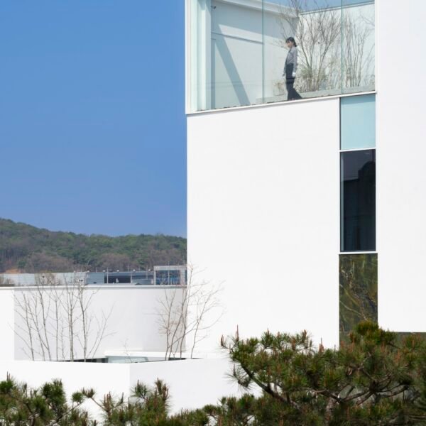 Archirie - Bosque de mascotas Gimpo (Mongsang)