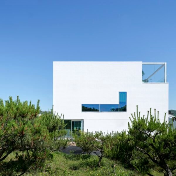 Archirie - Bosque de mascotas Gimpo (Mongsang)
