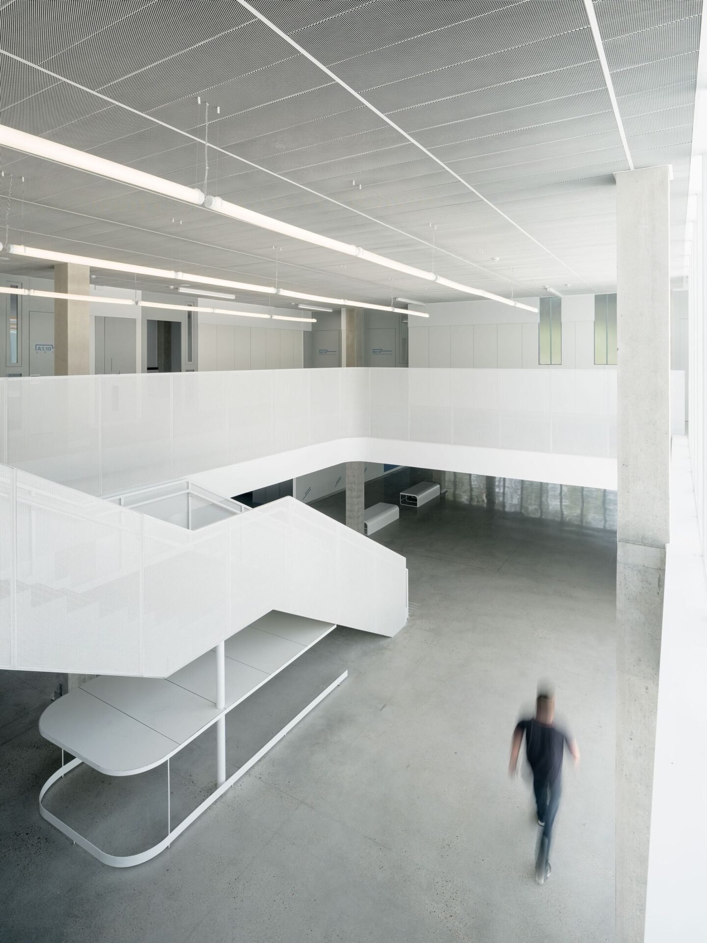 Estudio Primitivo González eGa - Escuela de Arte Valladolid (Luis Díaz Díaz)