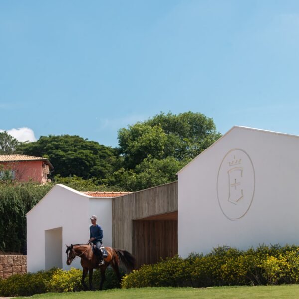 Estúdio Mangava - Haras Entrevero (Lela Leme)
