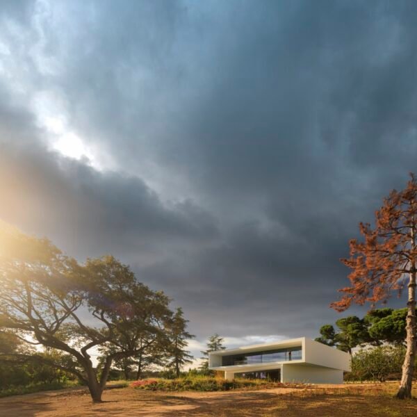 Fran Silvestre Arquitectos - Villa Laván (Fernando Guerra)