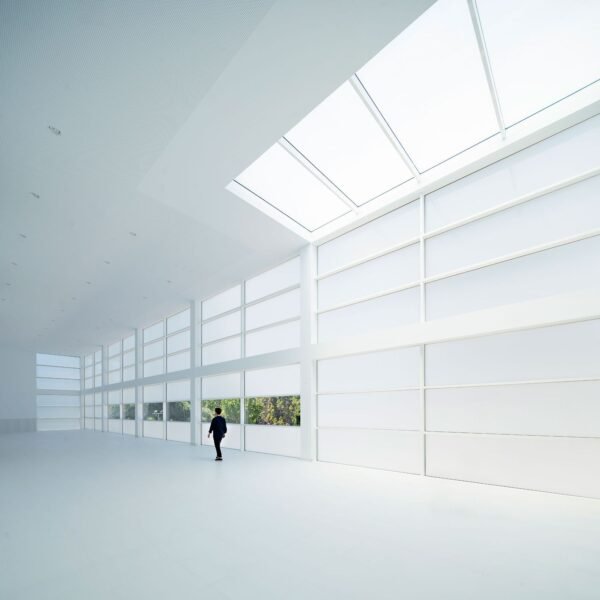 Campo Baeza - Biblioteca del Liceo Francés (Javier Callejas Sevilla)