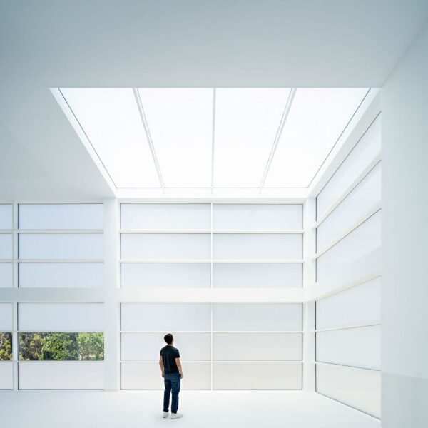 Campo Baeza - Biblioteca del Liceo Francés (Javier Callejas Sevilla)