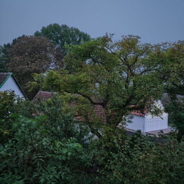 Jan Zaloudek Architekt - Casa Oskar (BoysPlayNice)