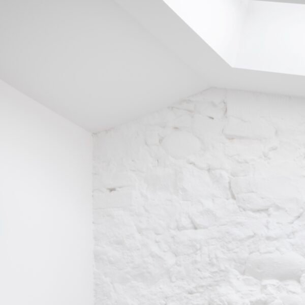 Romano Tinazzi - Residencia Savonarola (Federico Villa)