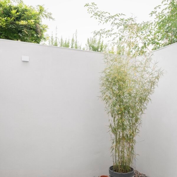 Romano Tinazzi - Residencia Savonarola (Federico Villa)