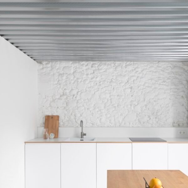 Romano Tinazzi - Residencia Savonarola (Federico Villa)