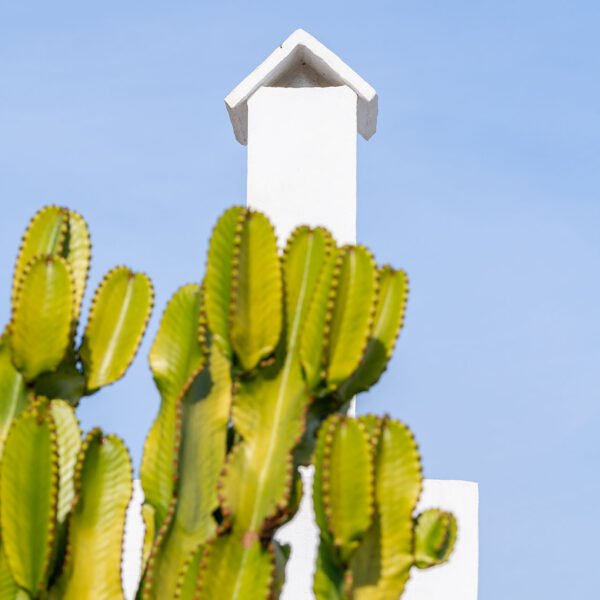 Motu Arquitectos - Casa en el desierto de Almería (Rocio R. Rivas Imagen Subliminal)