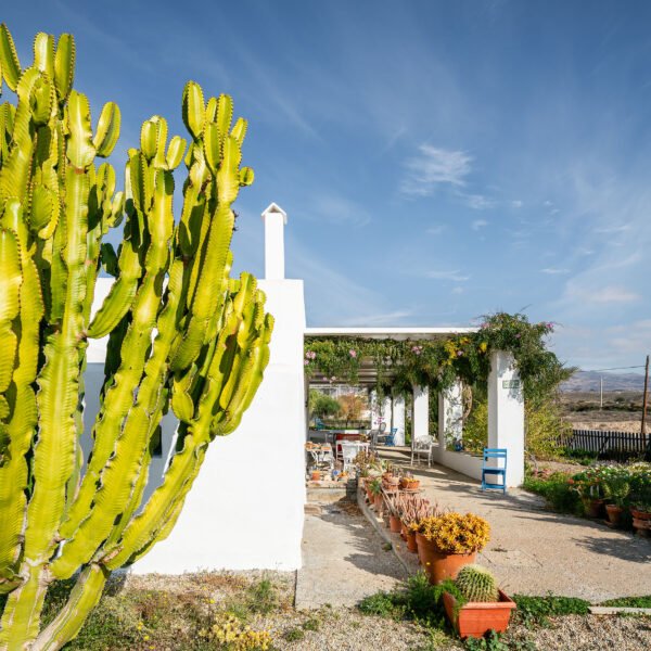 Motu Arquitectos - Casa en el desierto de Almería (Rocio R. Rivas Imagen Subliminal)