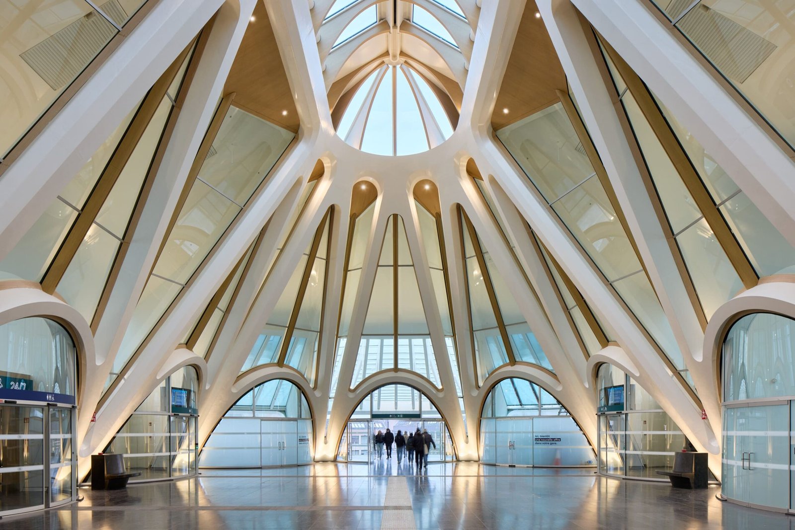 Santiago Calatrava - Estación ferroviaria de Mons (Oliver Schuh )