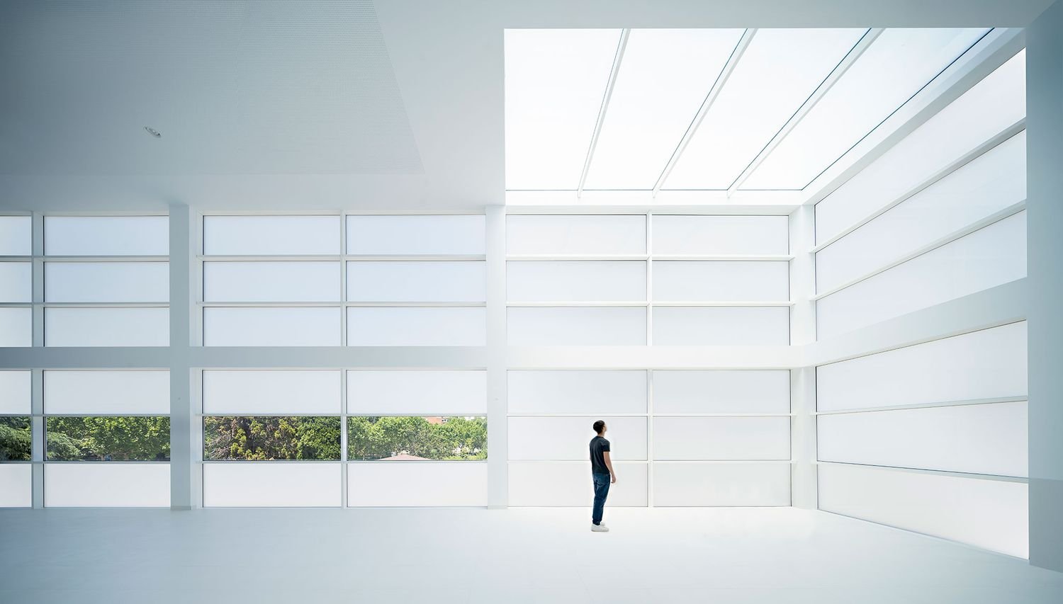 Campo Baeza - Biblioteca del Liceo Francés (Javier Callejas Sevilla)