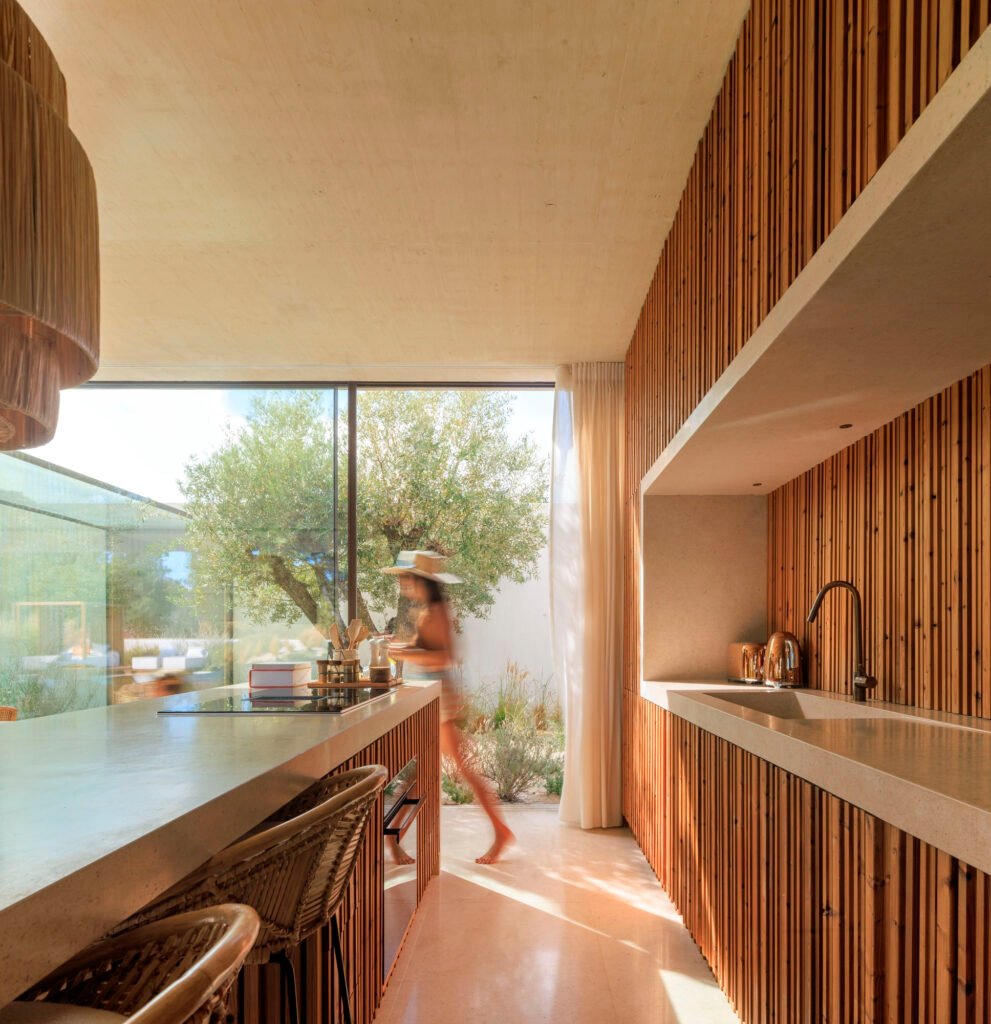 dEMM Arquitectura - Casa Comporta 107(Fernando Guerra)