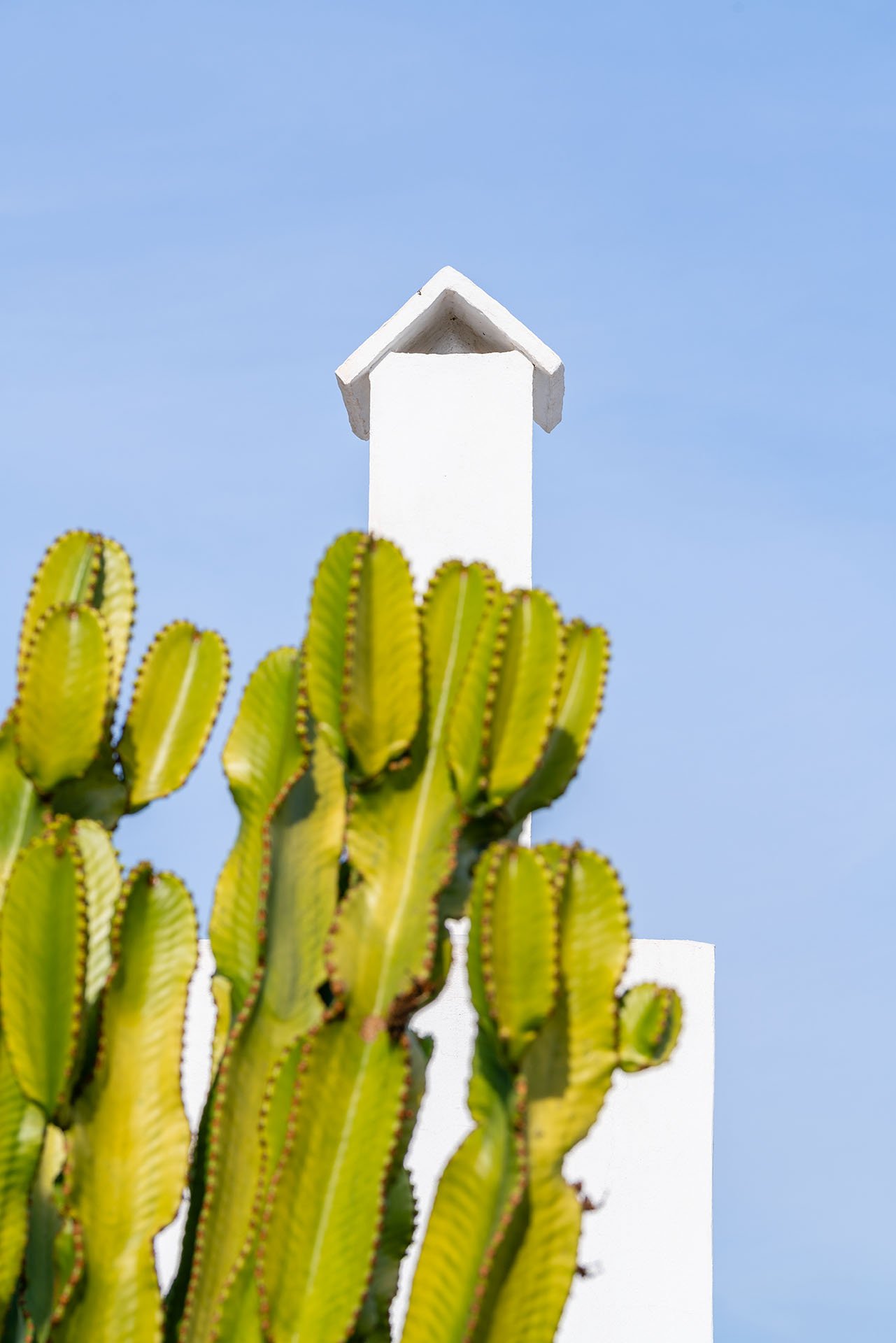 Motu Arquitectos - Casa en el desierto de Almería (Imagen Subliminal)