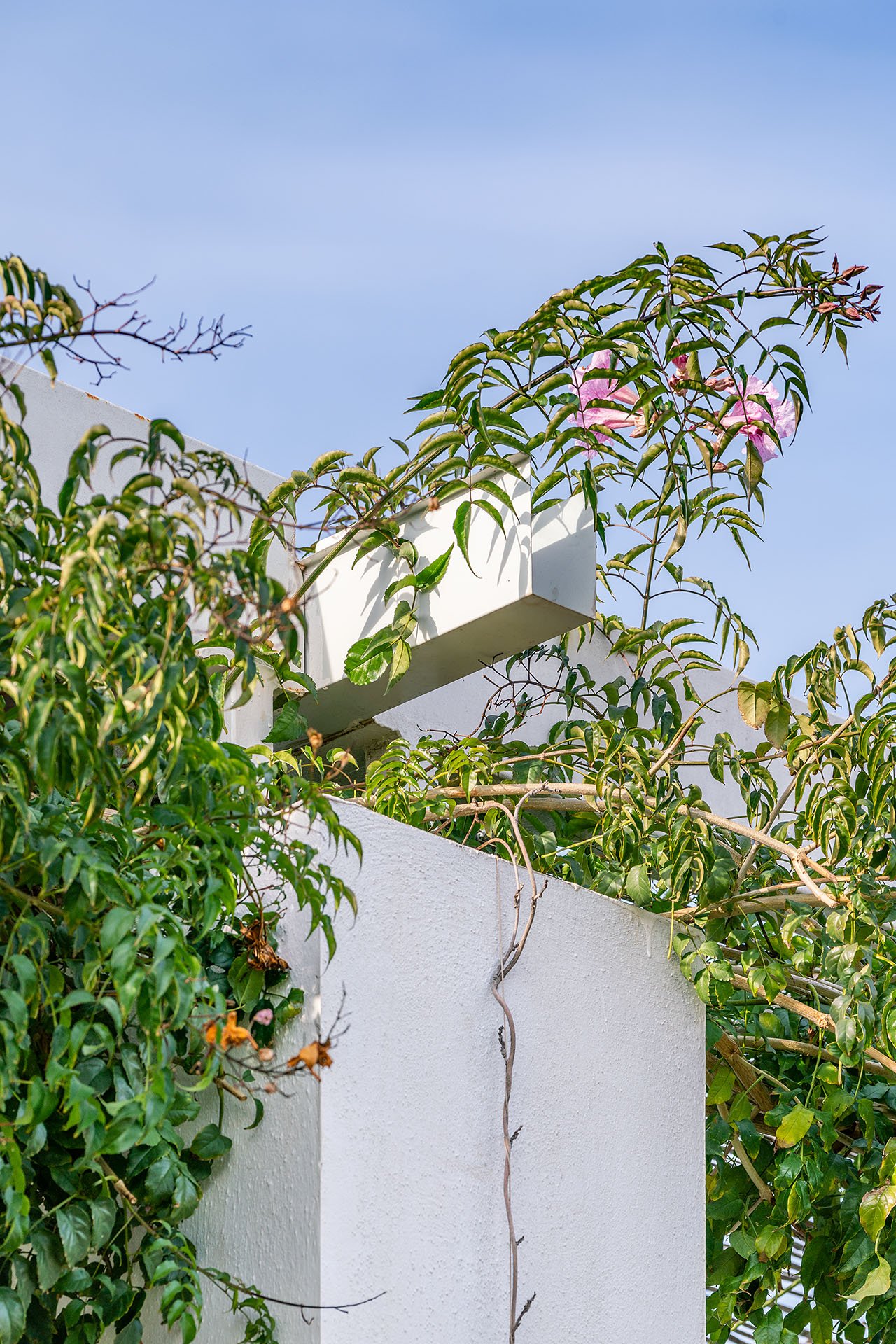 Motu Arquitectos - Casa en el desierto de Almería (Imagen Subliminal)