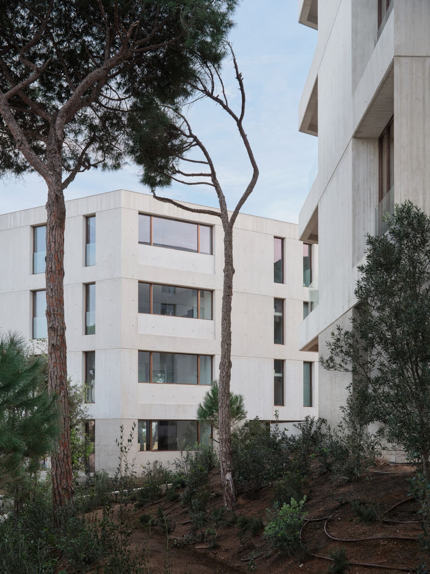 Jaime Prous Architects + Pineda Monedero + FGA arquitectes - Sa CAleta (Adrià Goula)