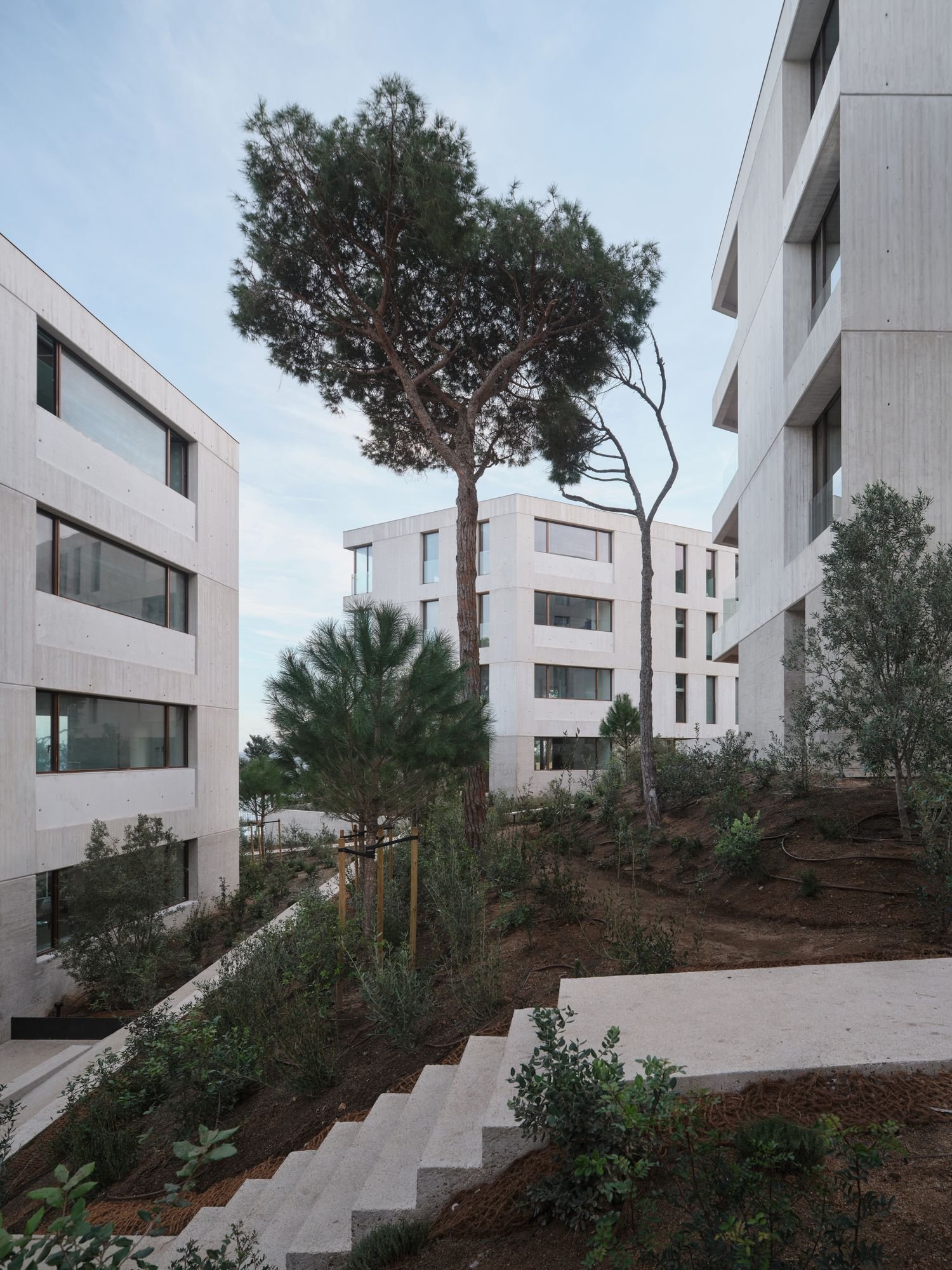 Jaime Prous Architects + Pineda Monedero + FGA arquitectes - Sa CAleta (Adrià Goula)