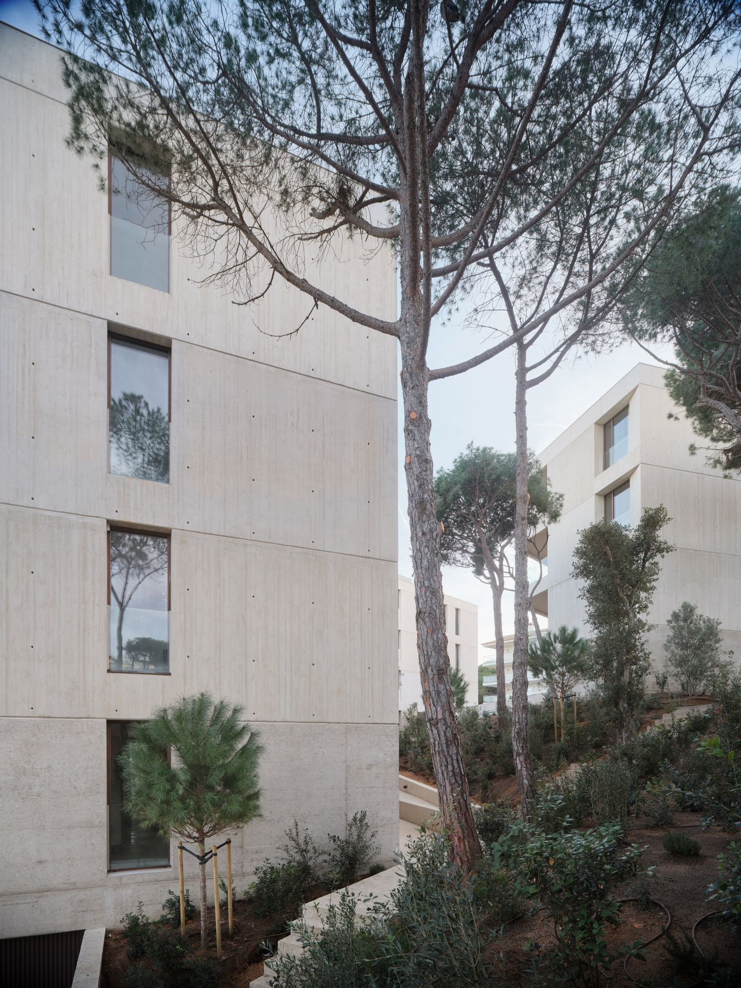 Jaime Prous Architects + Pineda Monedero + FGA arquitectes - Sa CAleta (Adrià Goula)