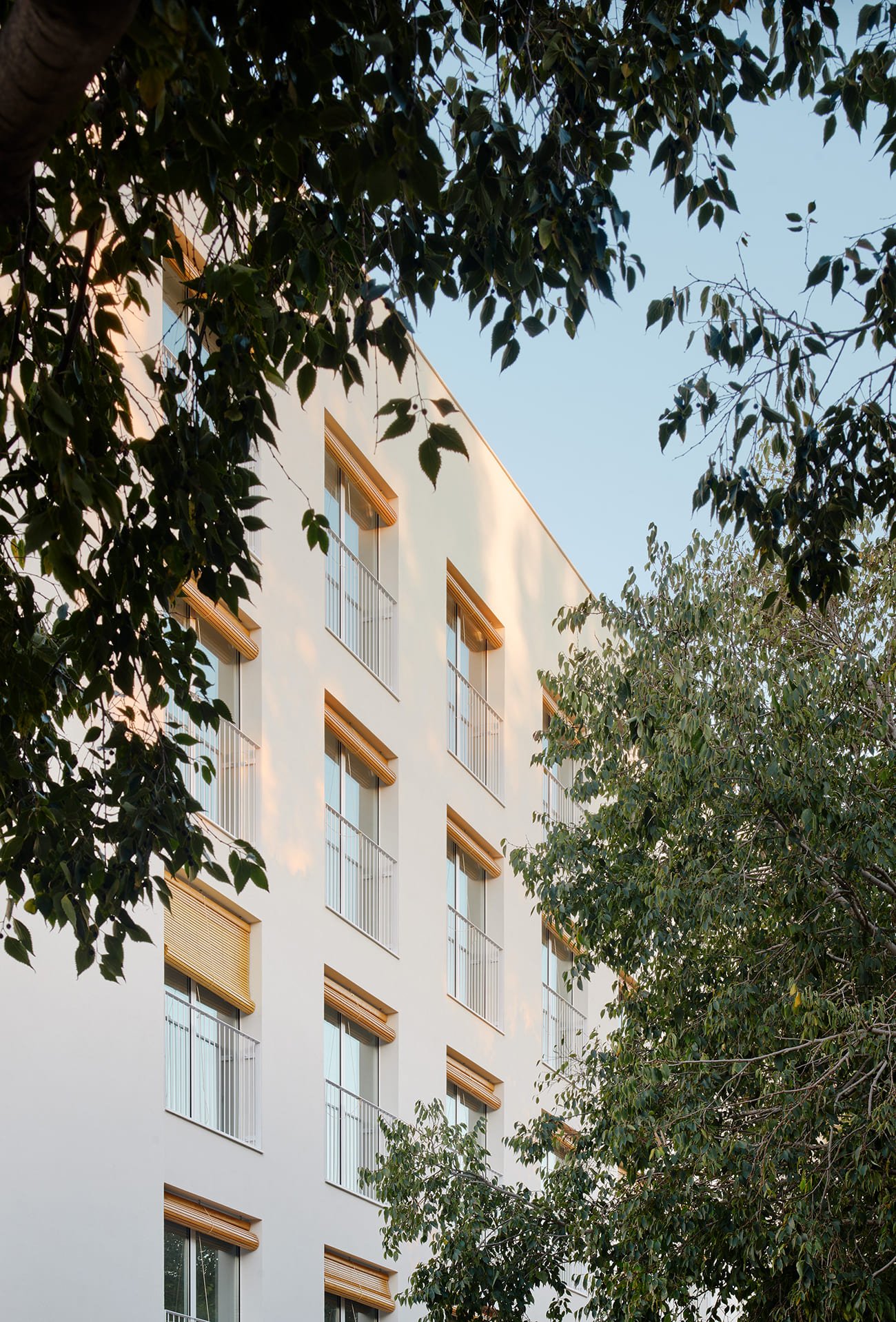 AV_62_Calderon_Folch_22_Viviendas_sociales_Jose_Hevia_AeB (A) (6)