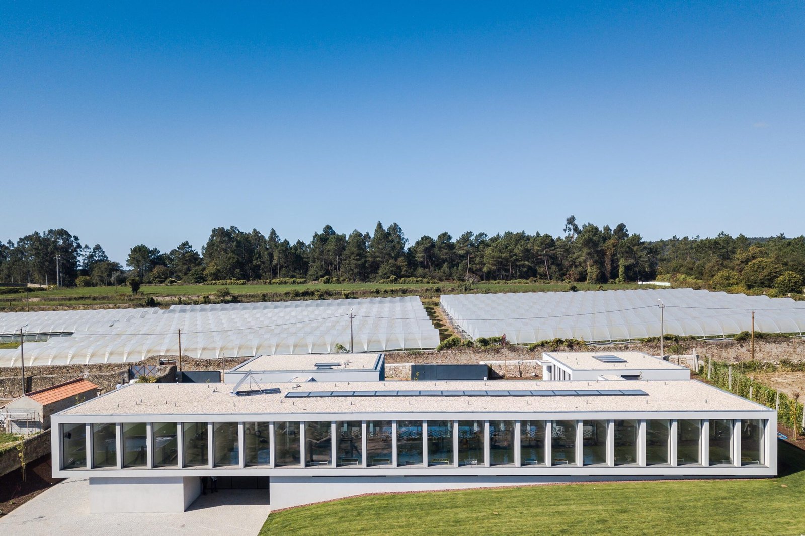 Hotel Canino y Felino – Raulino Silva (João Morgado) (2)