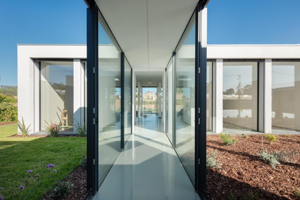 Hotel Canino y Felino – Raulino Silva (João Morgado) (9)