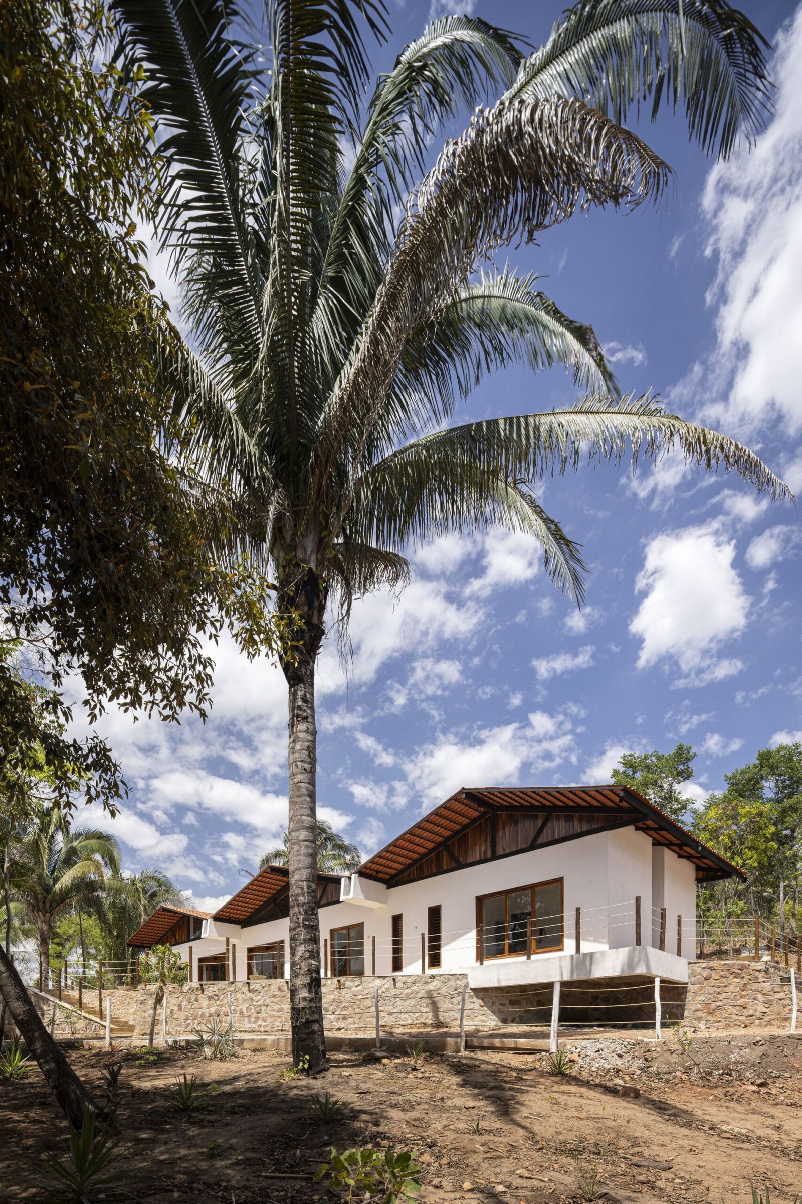 Lins Arquitetos Associados Casa Arajara Joana França AeB (6)
