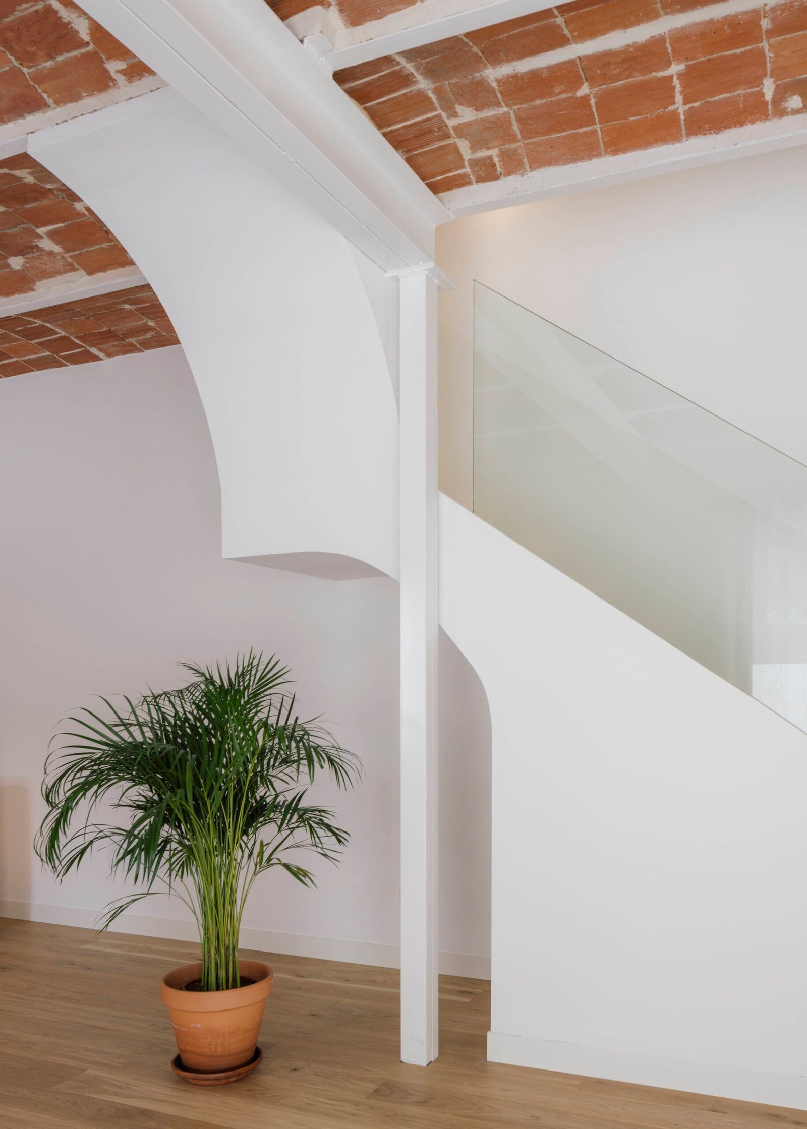 Zooco Estudio - Casa Cientoonce (Imagen Subliminal)