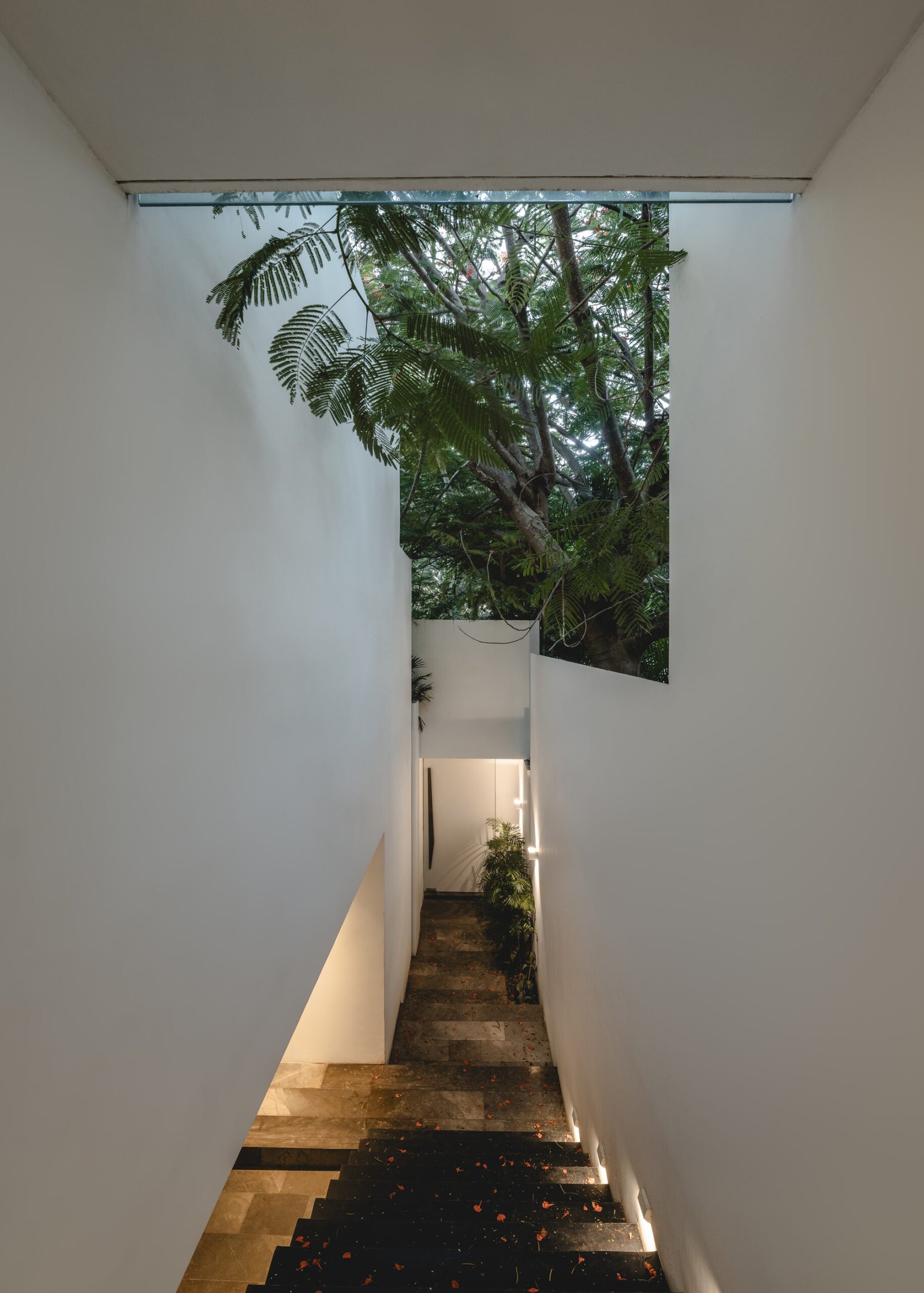 Arkham_Projects_The_Asylum_Manolo Solis_AeB_Mexico (17)