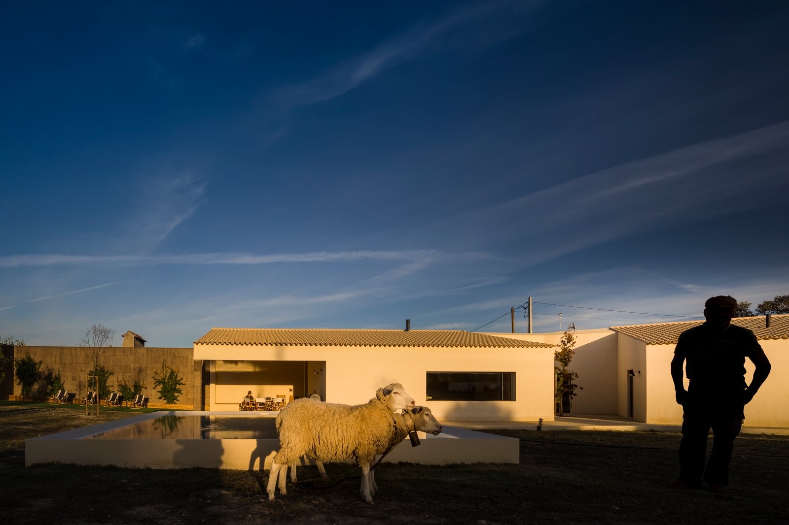 Inés Cortesão BICA Arquitetos – Casa no Alentejo (Fernando Guerra) (25)