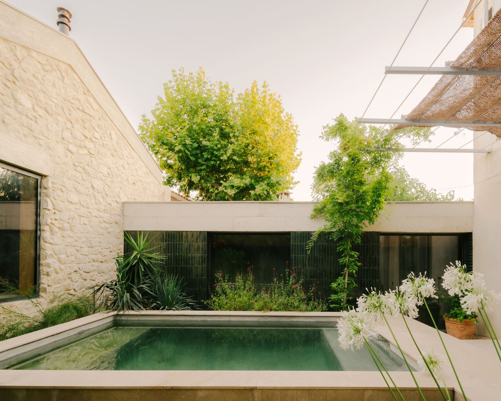 Olivia Fauvelle Architecture – Casa Jericho (Maxime Verret) (3)