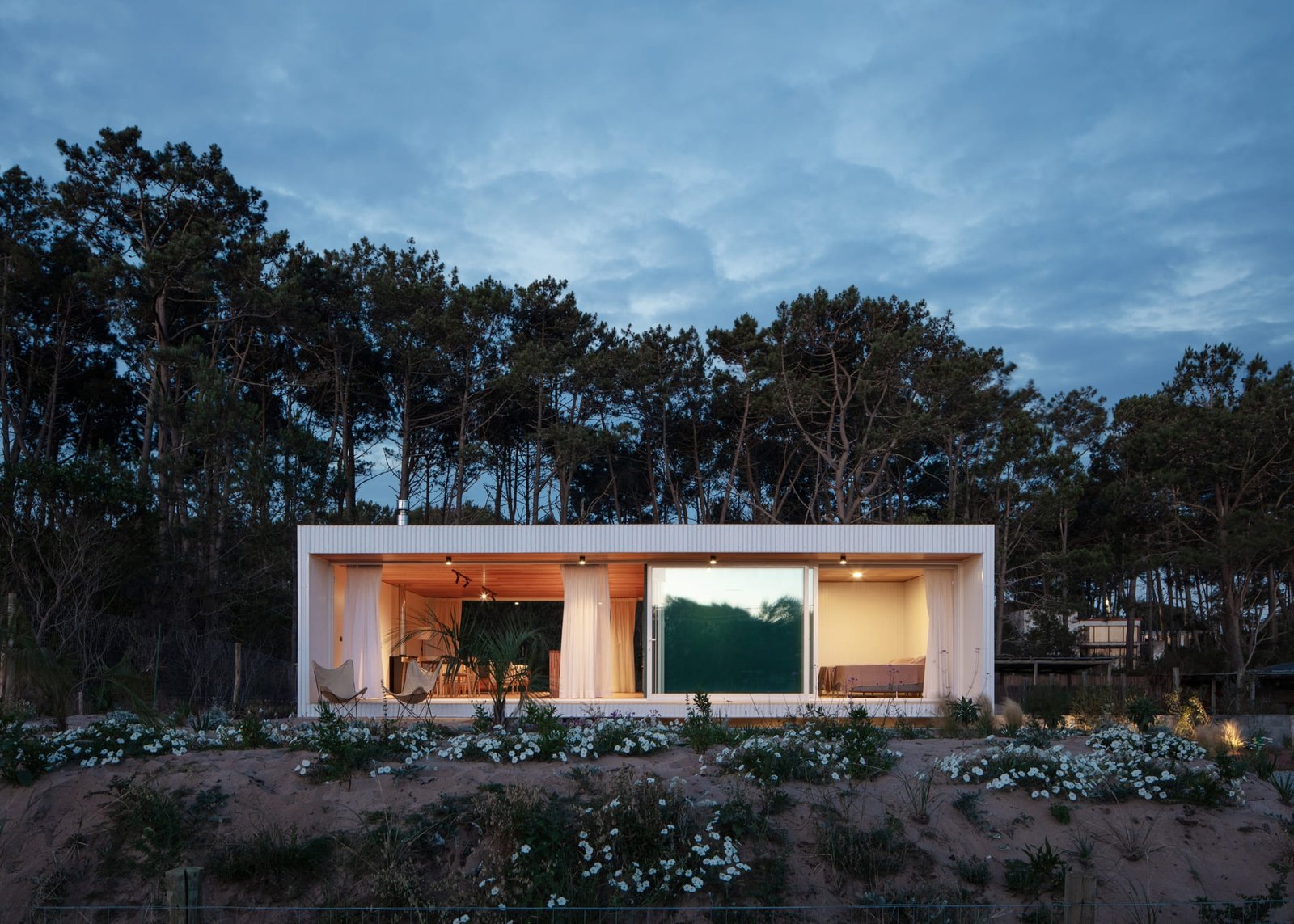 trica_ihouse_estudio(1)