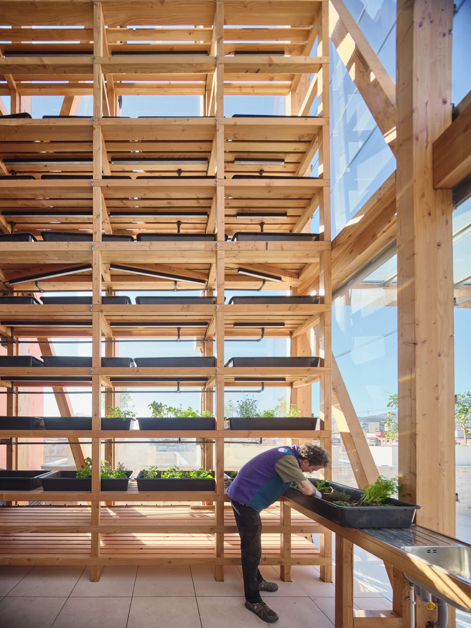 Urbanitree – 40 viviendas sociales (Adrià Goula) AeB (12)