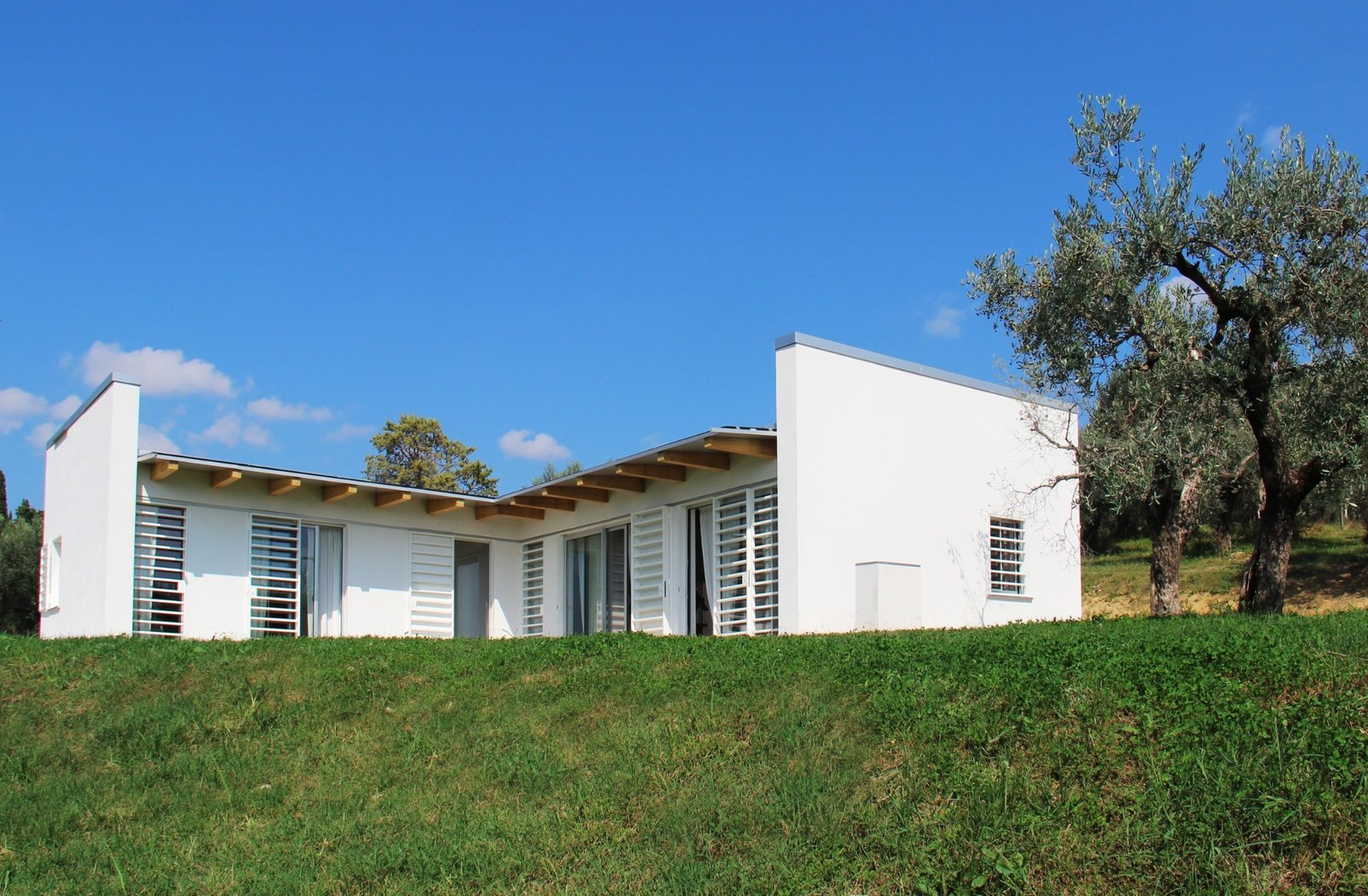 CSIAA Office – Casa mascotas (1)