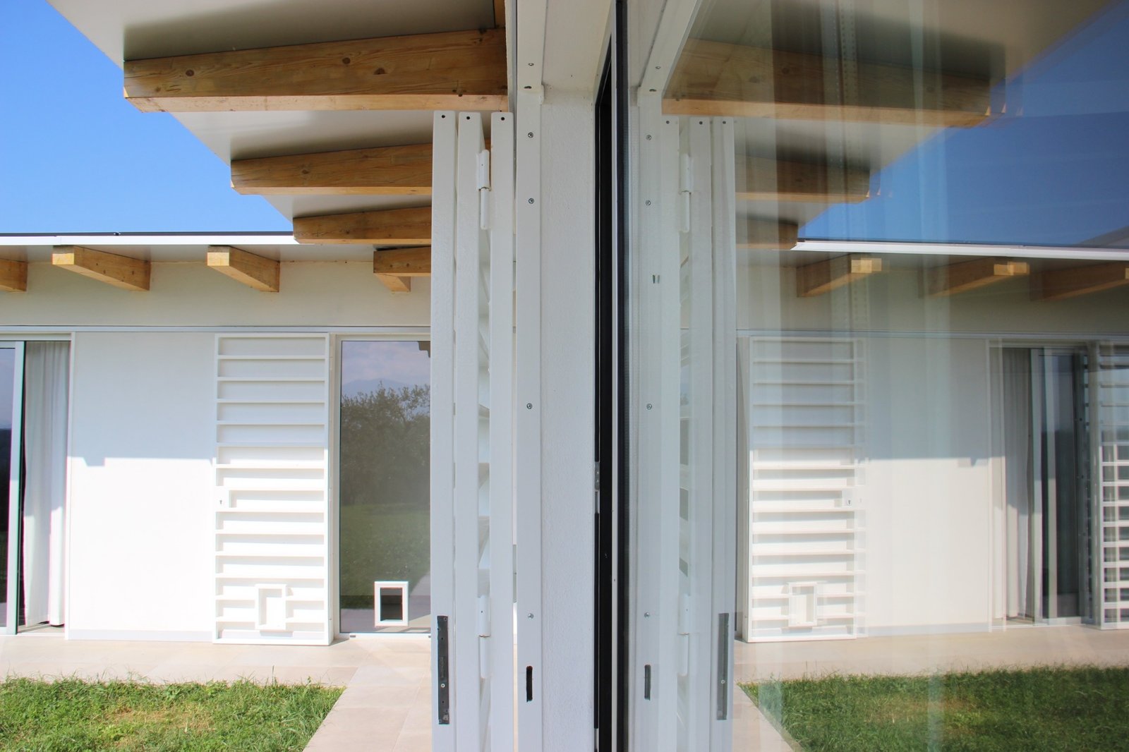 CSIAA Office – Casa mascotas (10)