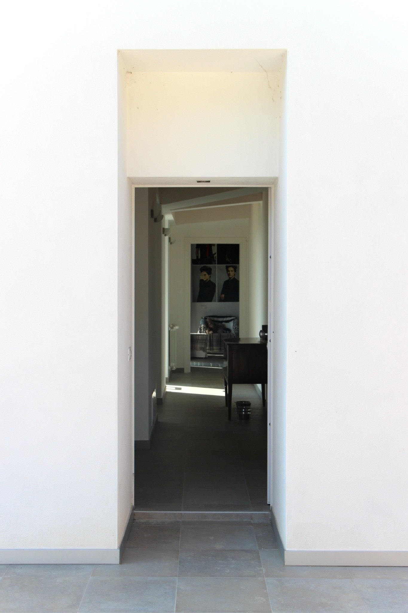 CSIAA Office – Casa mascotas (11)