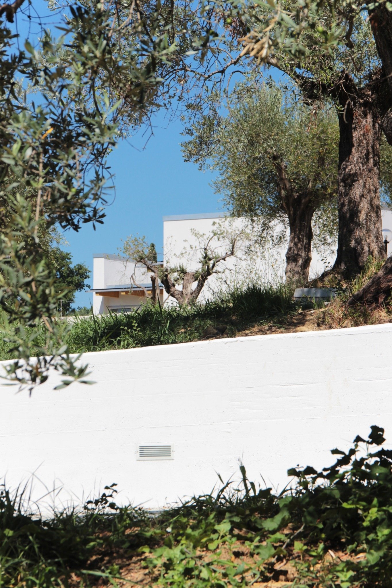 CSIAA Office – Casa mascotas (15)