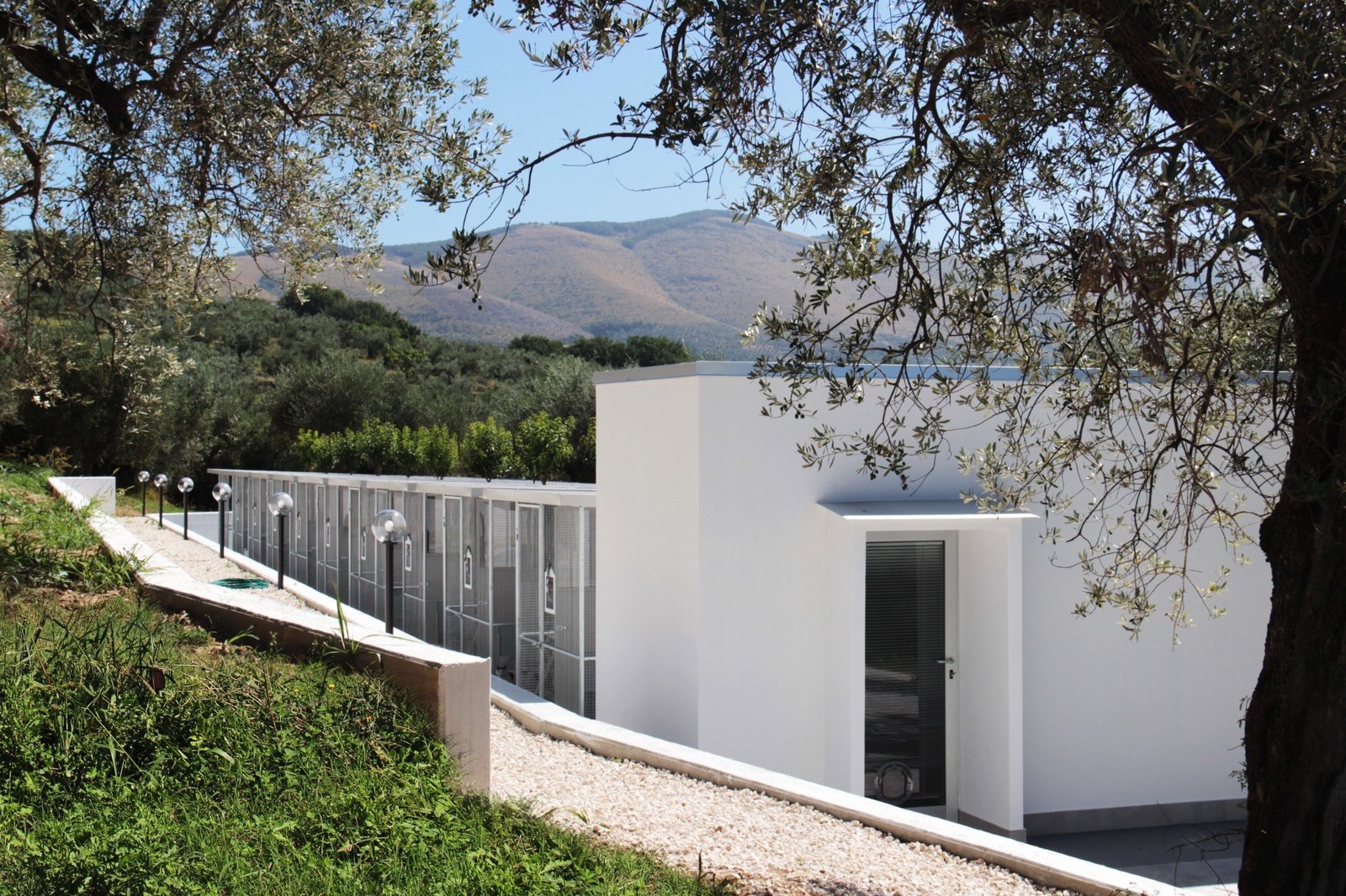 CSIAA Office – Casa mascotas (17)