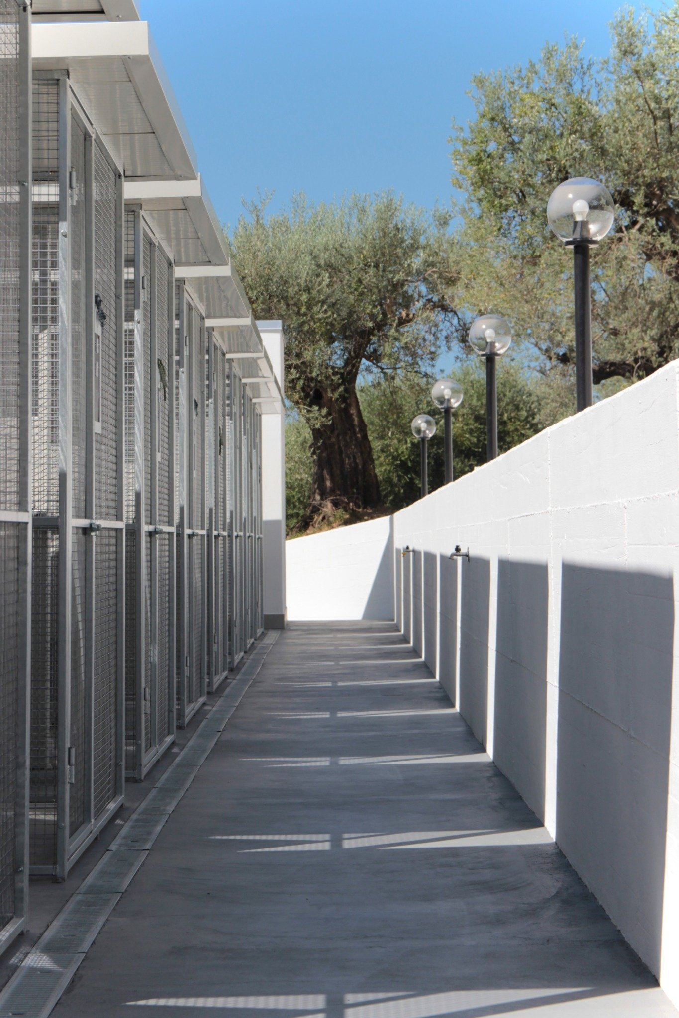 CSIAA Office – Casa mascotas (18)